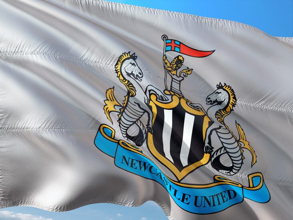 Logo Newcastle na srebrnej, powiewającej fladze