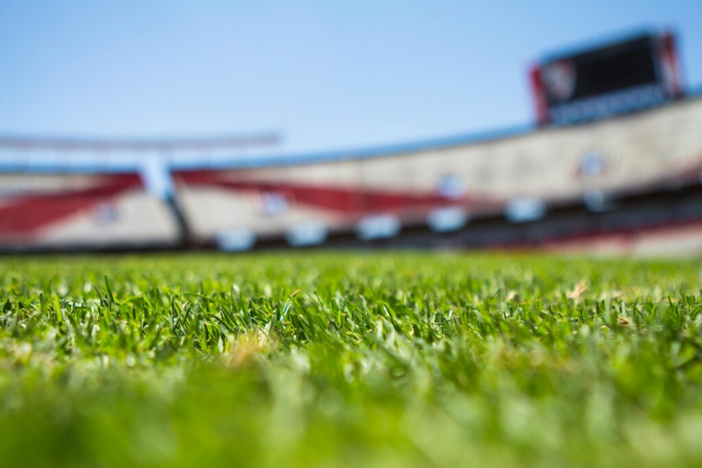 Zbliżenie na trawę na tle zablurowanego stadionu piłkarskiego