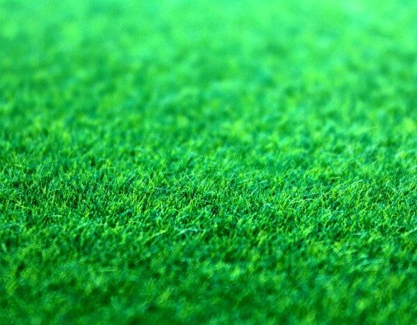 Sztuczna trawa
