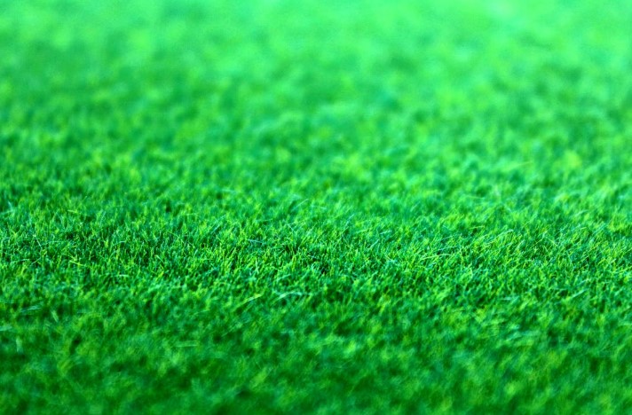 Sztuczna trawa