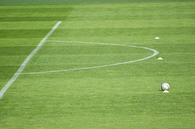 Piłkarska murawa