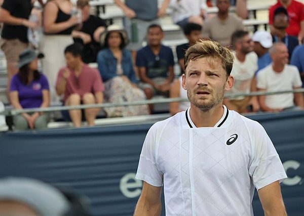 David Goffin spogląda w stronę sędziego