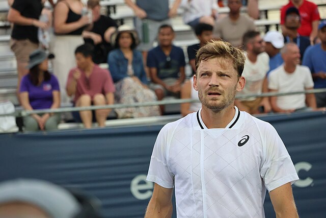 David Goffin spogląda w stronę sędziego