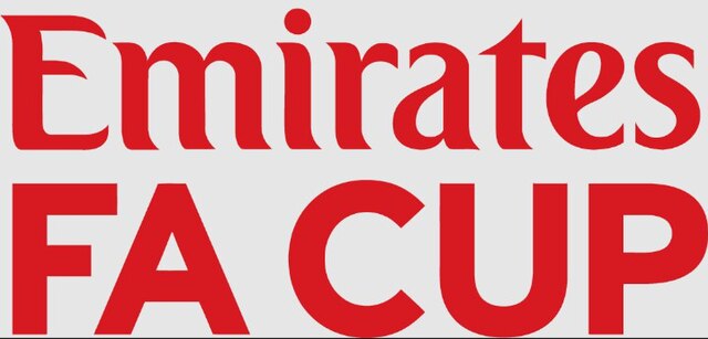 Logo Emirates FA Cup na szarym tle