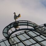 Widok na rzeźbę koguta Spur na szczycie dachu stadionu Tottenhamu